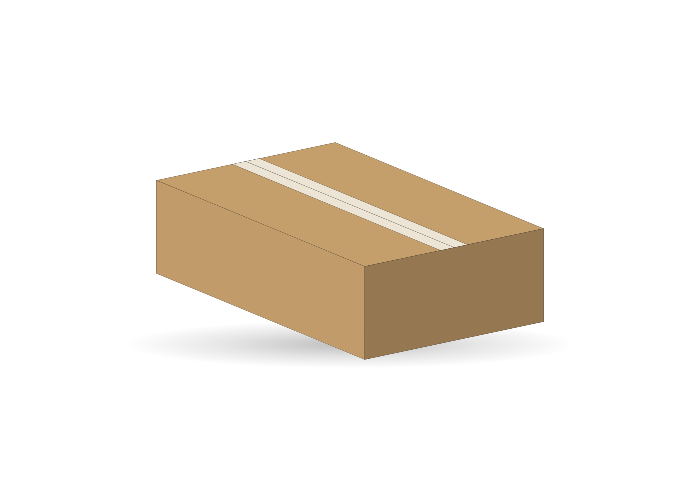 31L Carton